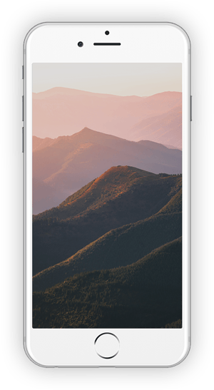 phone-w-mount.png